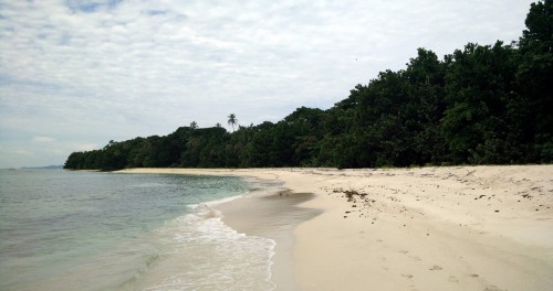 Isla Zapatilla Beaches Bocas del Toro (26)