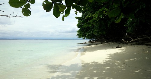 Isla Zapatilla Beaches Bocas del Toro (6)