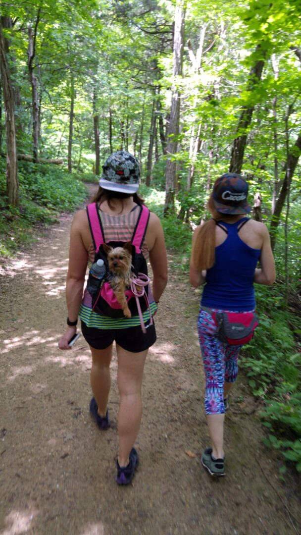 Matthiessen State Park Hiking Trail Illinois