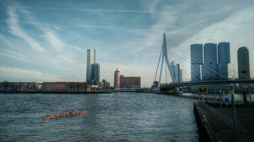 Visions of Rotterdam Netherlands (9)