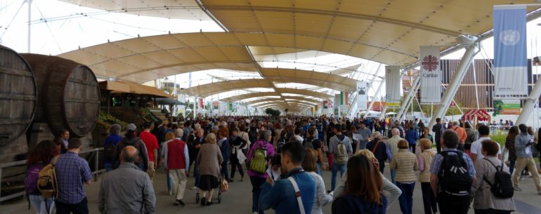 Expo 2015  Milan Italy (1)