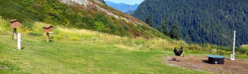 Grouse Mountain cable car Vancouver Canada-004