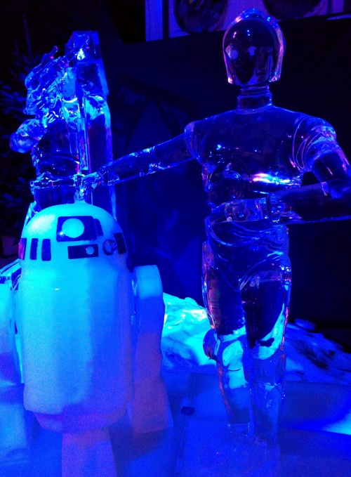 Star Wars Ice Festival 2016 Liege Belgium (21)