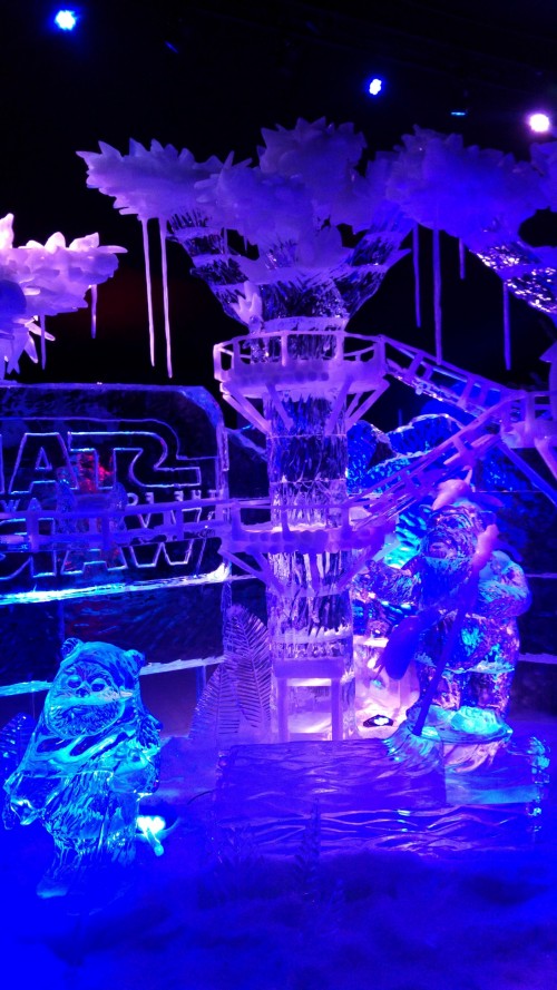 Star Wars Ice Festival 2016 Liege Belgium (37)