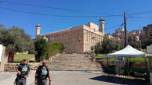 Breaking the Silence Hebron Tour 2015 West Bank (12)