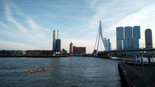 Rotterdam walking tour Netherlands (28)