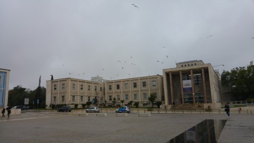 University of Lisbon campus (7)