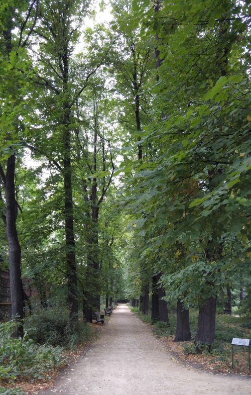 Botanical gardens Moscow Russia (61)