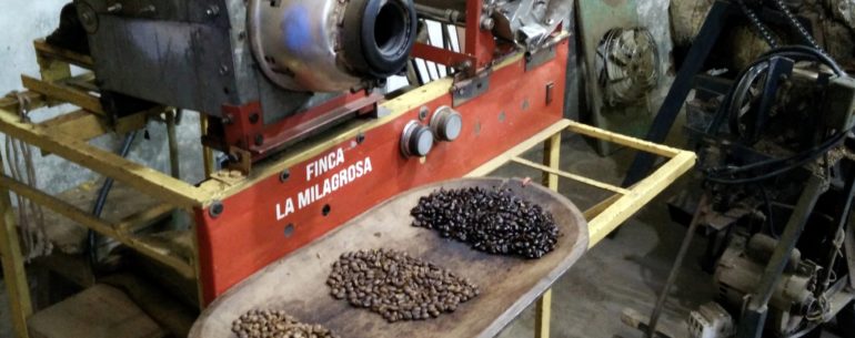 Finca La Milagrosa Coffee Plantation Tour - Boquoete Panama (17)