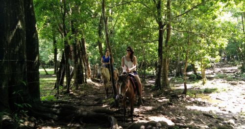 Horseback riding and hotsprings -Boquete Panama (18)