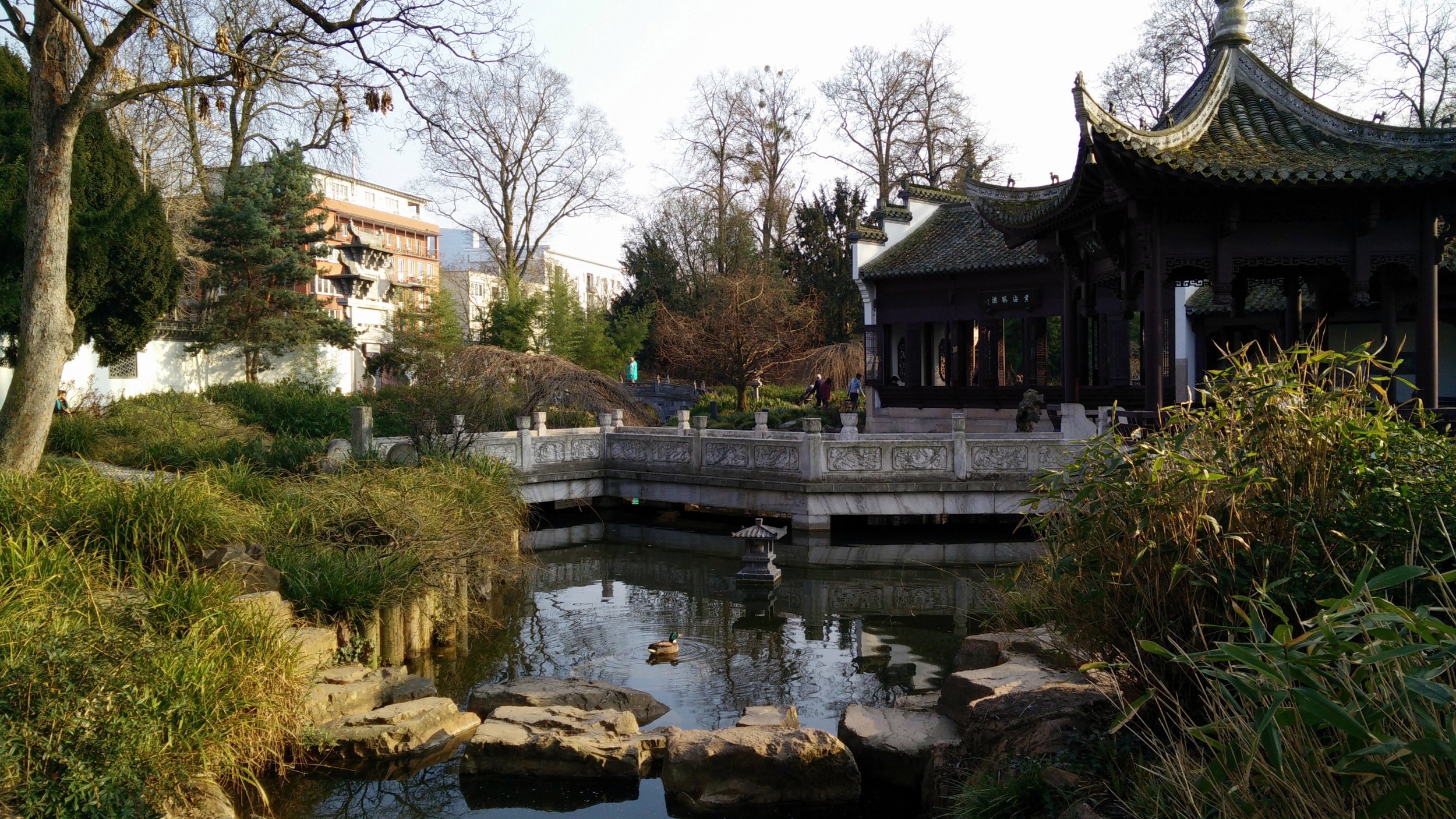 Bethmann Park's Chinese Garden : Frankfurt am Main | Visions of Travel