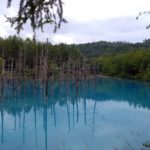 Blue Pond Aoiike : Biei Hokkaido