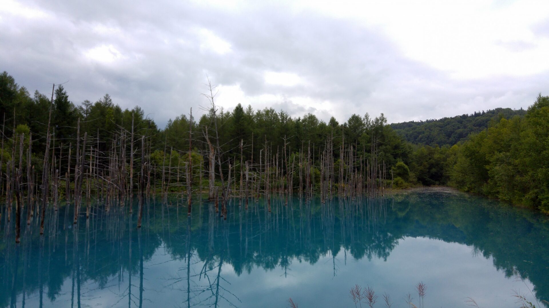 Blue Pond Aoiike Biei Hokkaido Visions of Travel