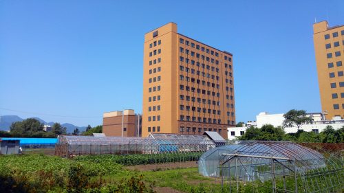 hokkaido-university-campus-sapporo-11