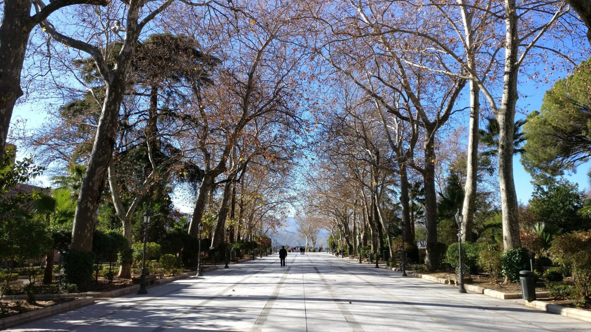 RONDA SPAIN THE ULTIMATE TRAVEL GUIDE 2026 visual data 4