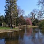 Walking tour of Vienna’s park, canals, and university