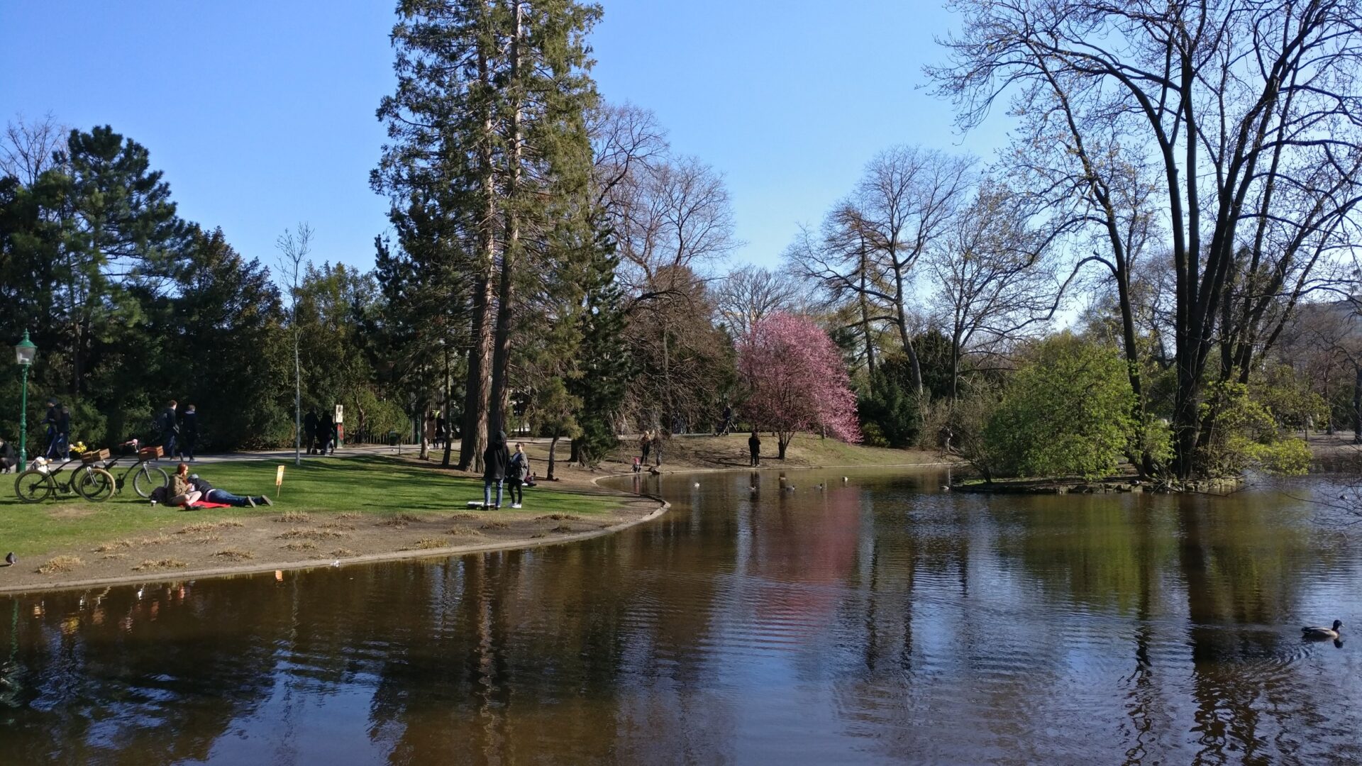 Walking tour of Vienna’s park, canals, and university | Visions of Travel