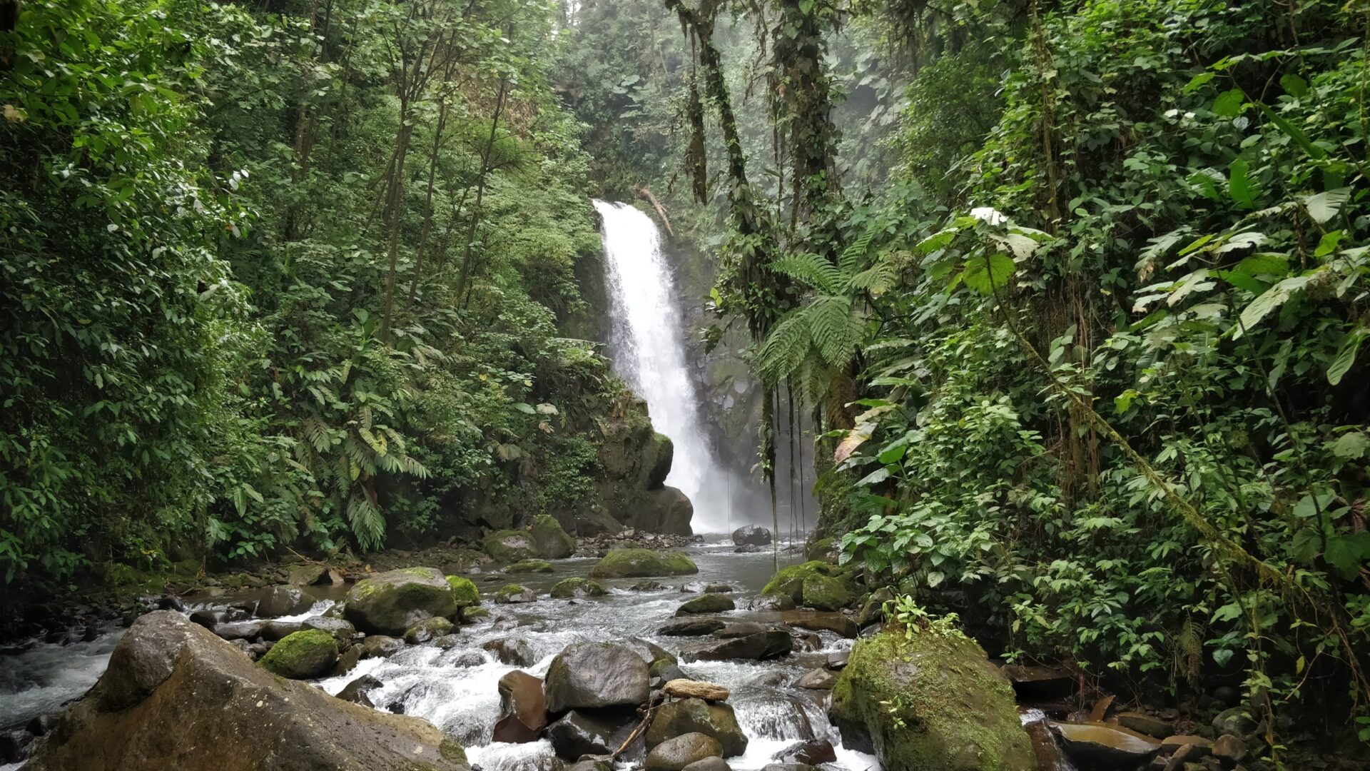 La Paz Waterfalls, La Fortuna, Monteverde : Costa Rica  Visions of Travel