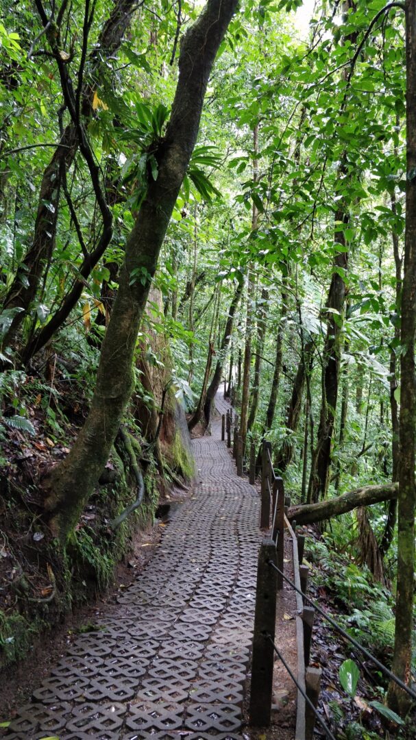 Mistico Arenal Hanging Bridges Park : Costa Rica | Visions of Travel