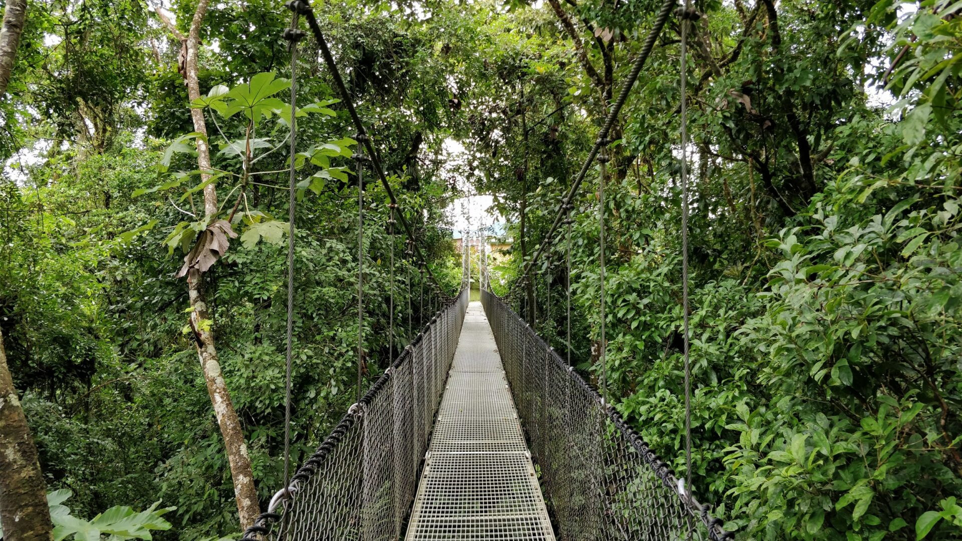Mistico Arenal Hanging Bridges Park : Costa Rica | Visions of Travel