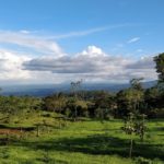 Monteverde Zipline : Costa Rica