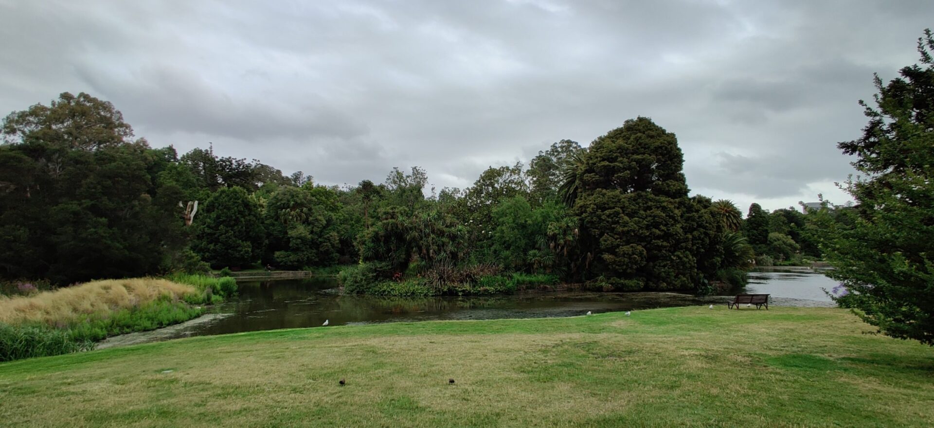 Royal Botanic Gardens Victoria & St Kilda Botanical ...