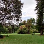 Royal Botanic Gardens Victoria & St Kilda Botanical Gardens : Melbourne