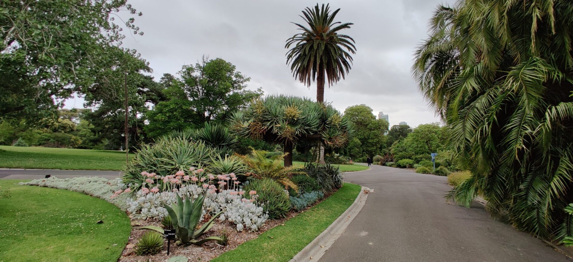 Royal Botanic Gardens Victoria & St Kilda Botanical Gardens Melbourne Visions of Travel