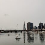 Sydney Harbour and Tower Eye: Australia